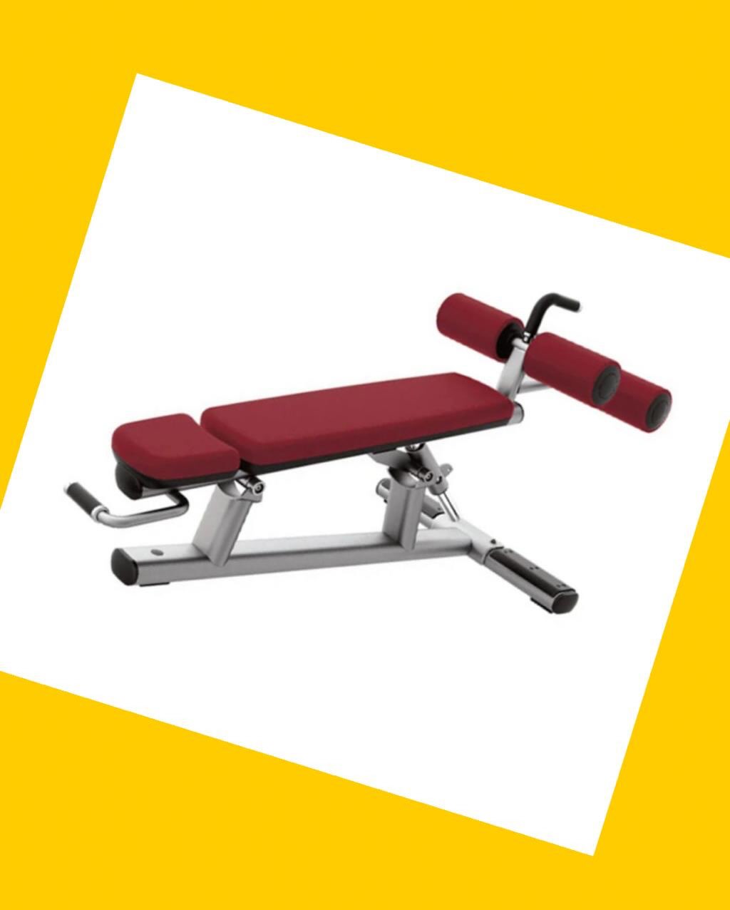 Banca de abdominales Life Fitness