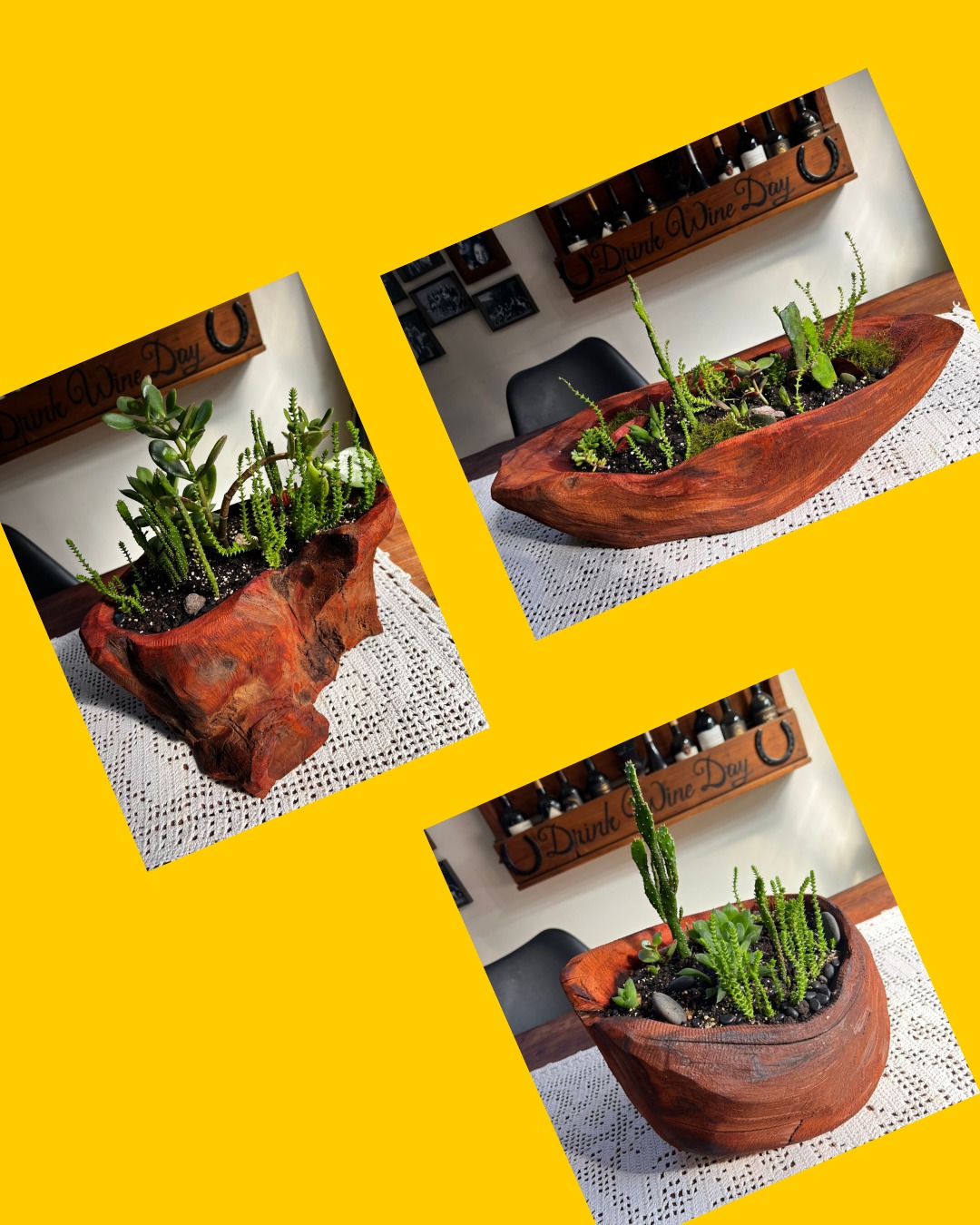 3 arreglos de suculentas en maceta de alerce