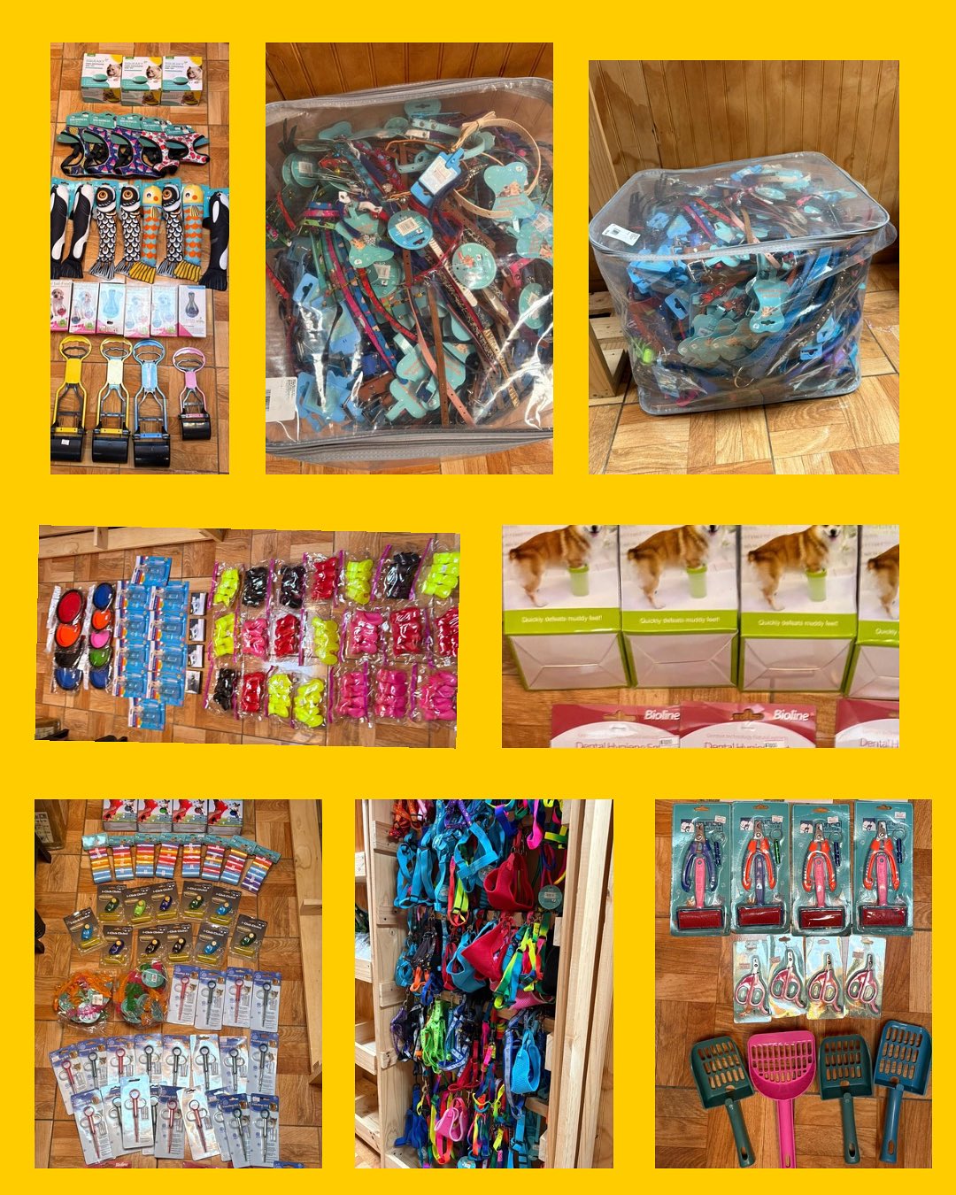 Pack 433 accesorios para mascotas