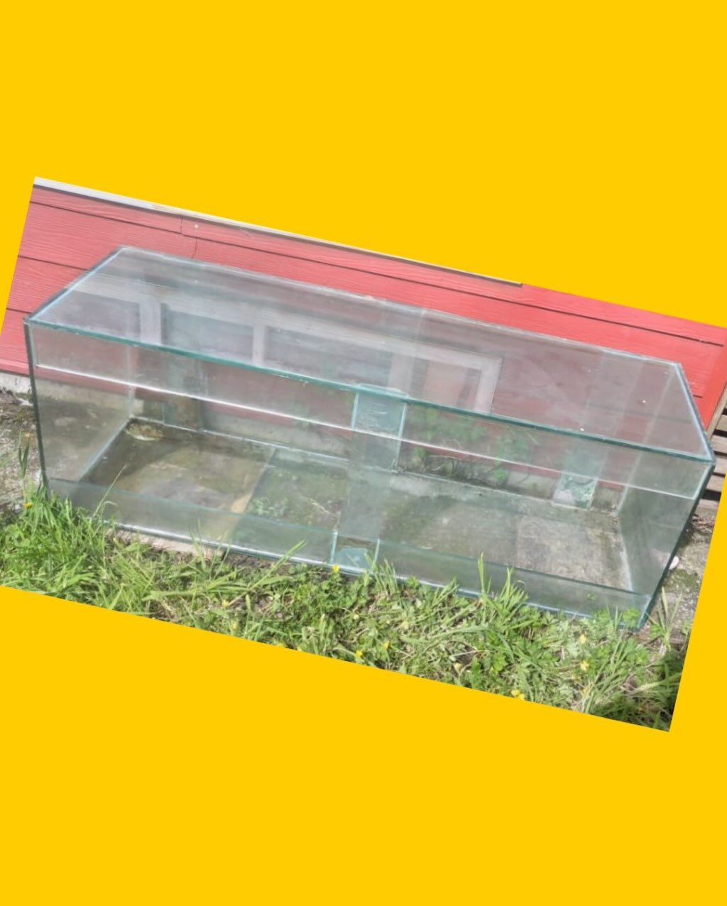 Acuario 160 x 50 x 50 cms