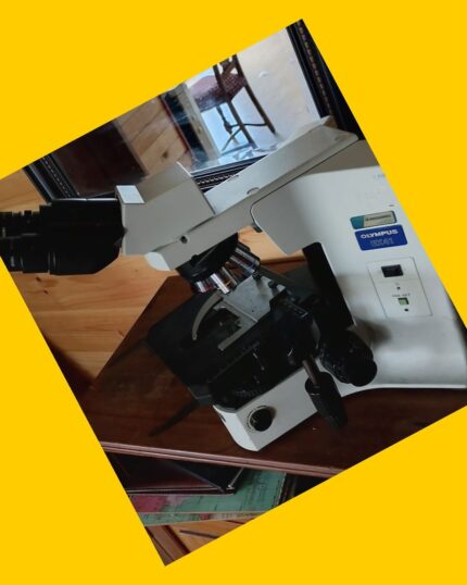 Microscopio Olympus