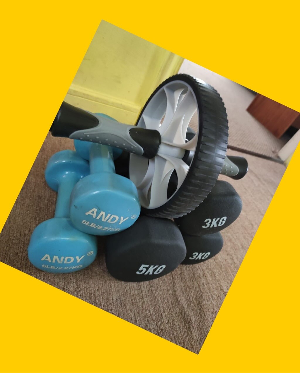 Pack de mancuernas y rueda de ejercicios