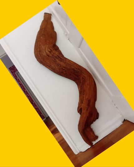 Raíz de alerce (escultura de pared)