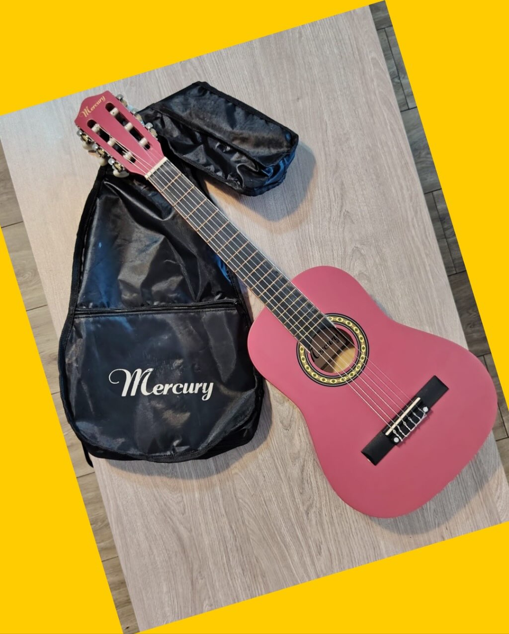Guitarra con funda Mercury