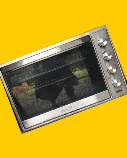 Horno eléctrico Thomas