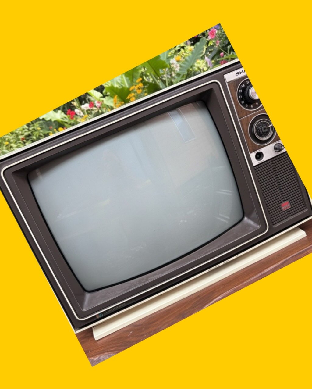 Televisor antiguo Sharp funcionando