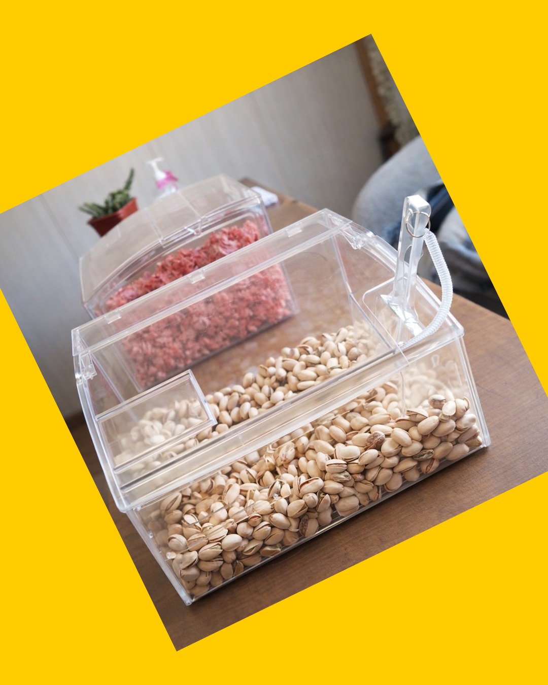 12 Dispensadores con pala y sin pala (6 con pala y 6 sin pala)