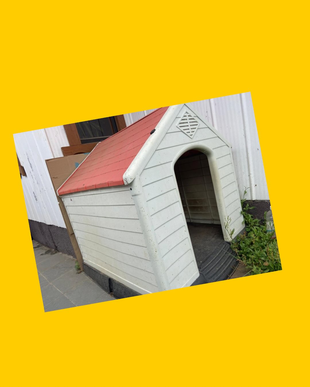 Casa de perro XL