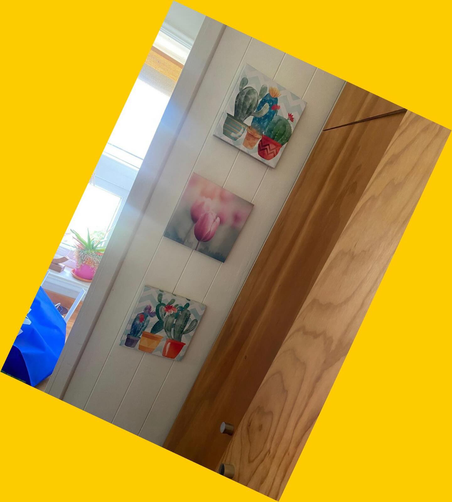 3 cuadros flores