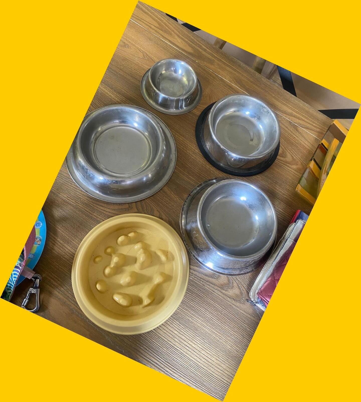 5 Platos de perro