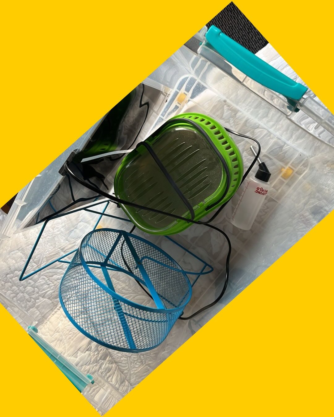 Accesorios de mascotas (rueda, bebedero, panel térmico y transportadora)