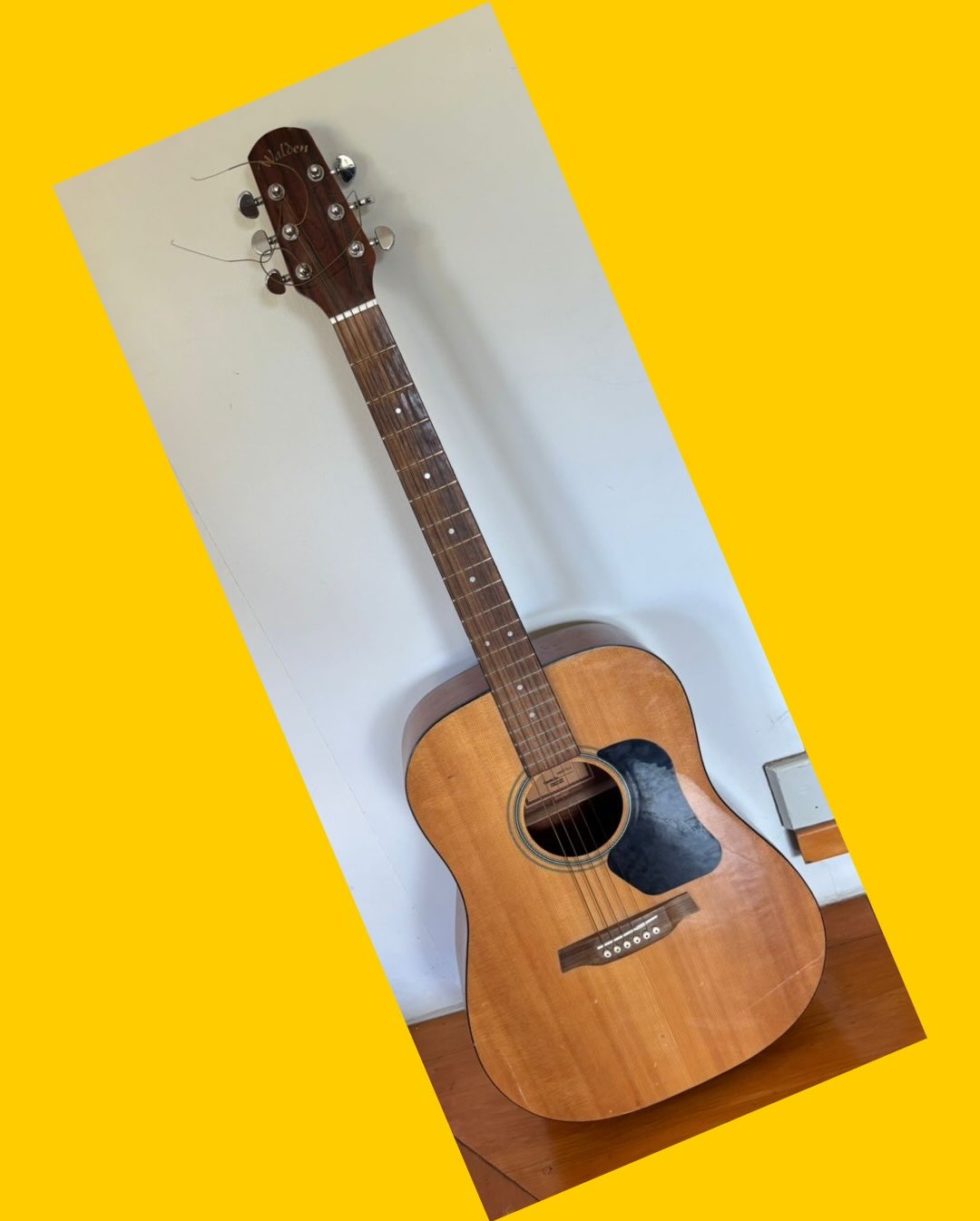 Guitarra Walden