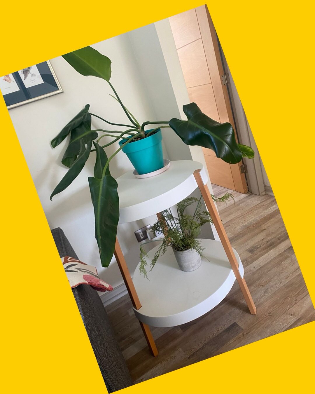 Mesa Casa e ideas