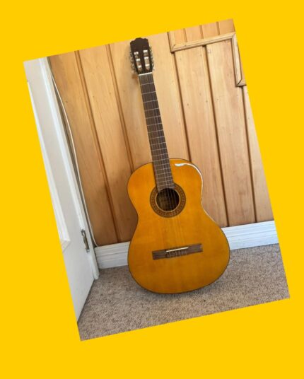 Guitarra N350 con estuche Walden