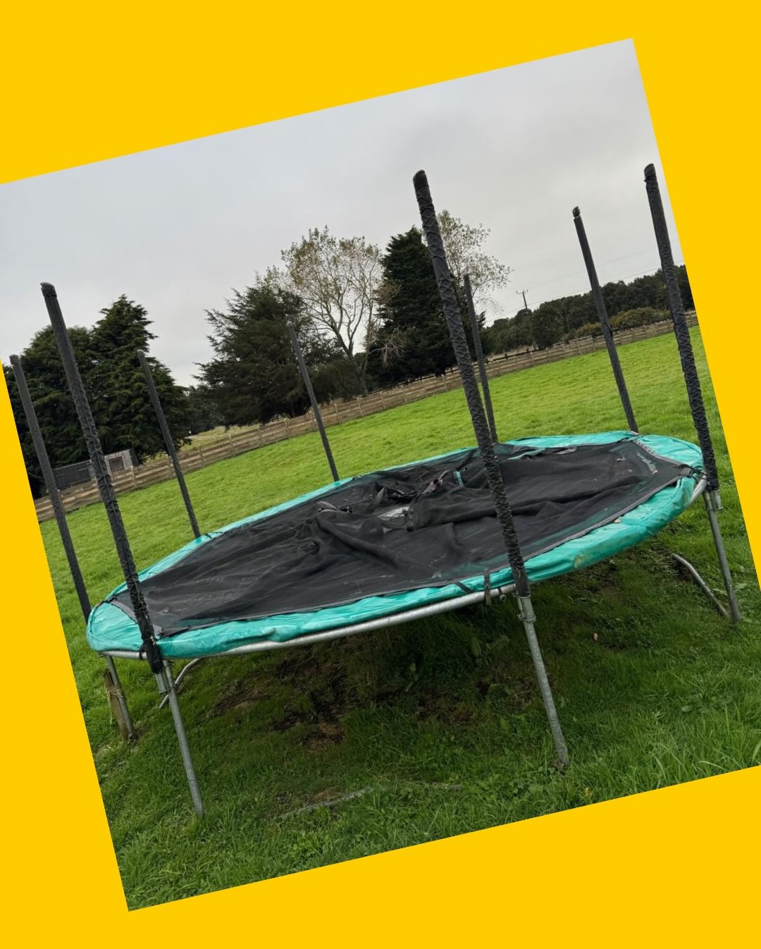 Cama elástica con escalera y malla de seguridad Berg