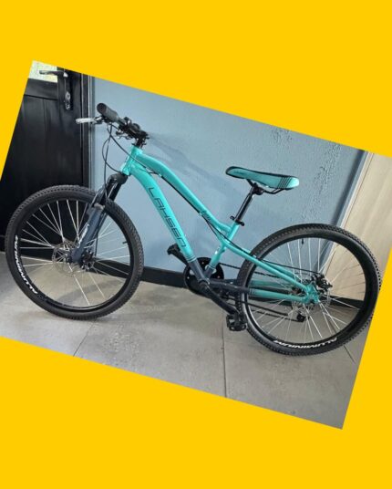 Bicicleta MTB Petra aro 24 Lahsen