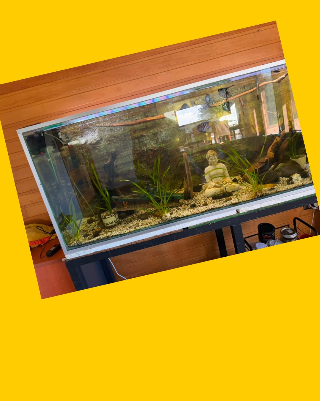 Acuario con base