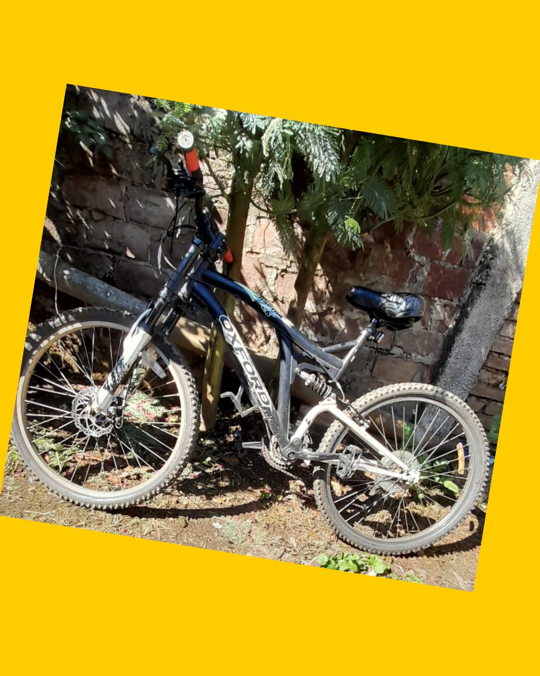 Bicicleta Oxford