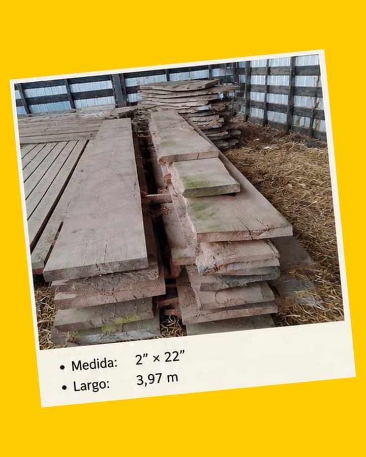 27 Tablas de laurel y lingue