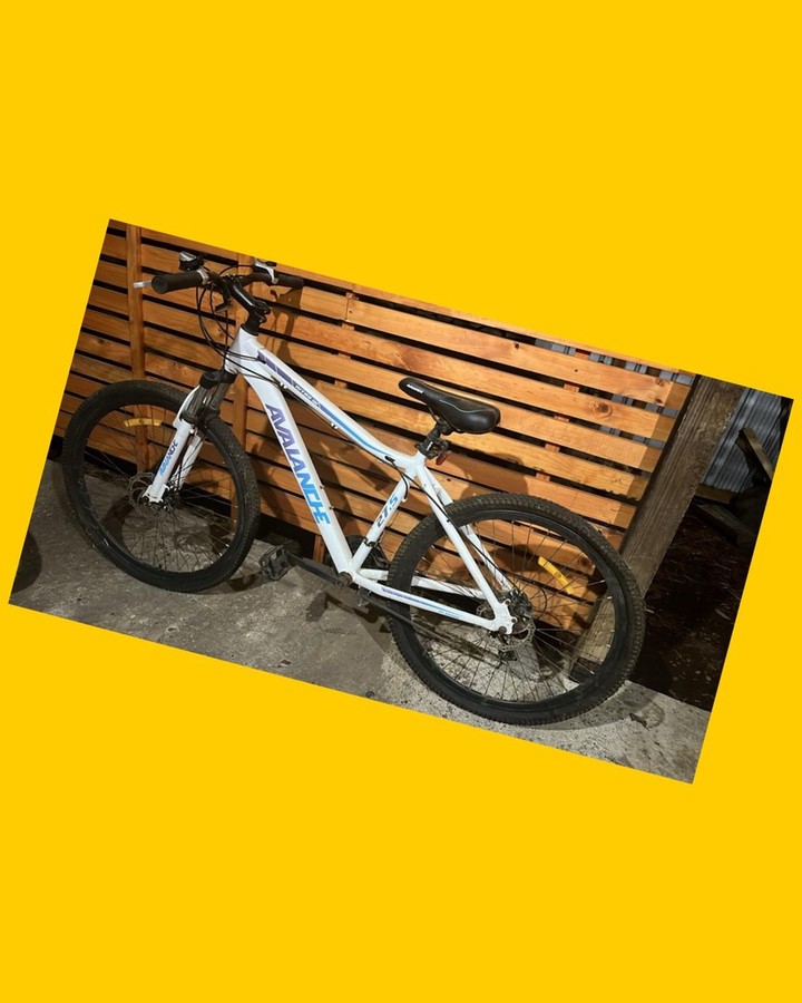 Bicicleta de montaña Avalanche