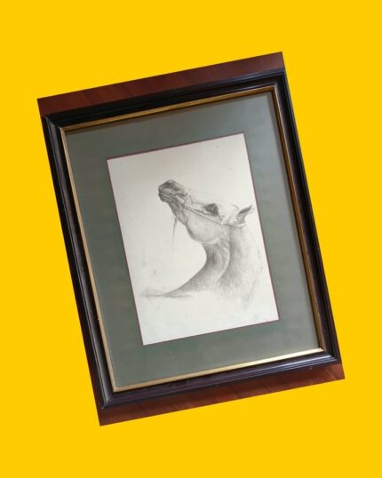 Dibujo original a lápiz grafito de caballo árabe enmarcado