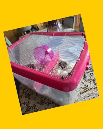 Set completo para hamster