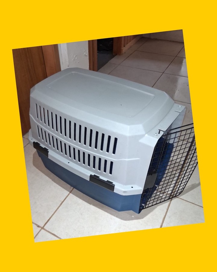 Transportador para mascota Vaggio Carrier