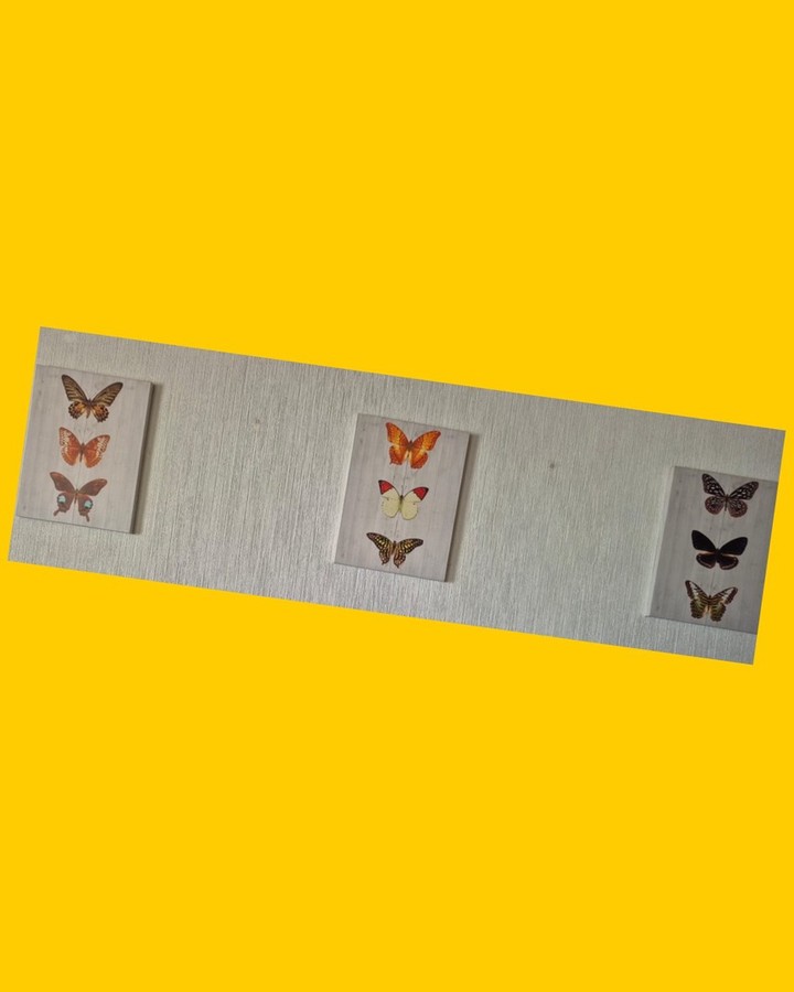 Tres cuadros de mariposa