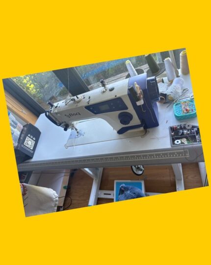Máquina de coser industrial BSQ