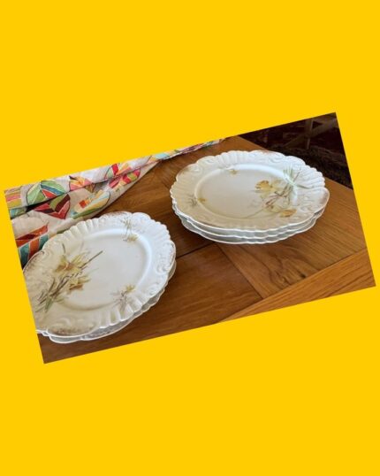 Set de platos antiguos