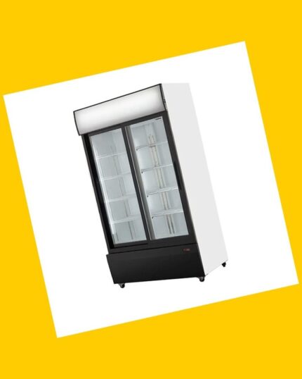 Visicooler Ventus 2 puertas
