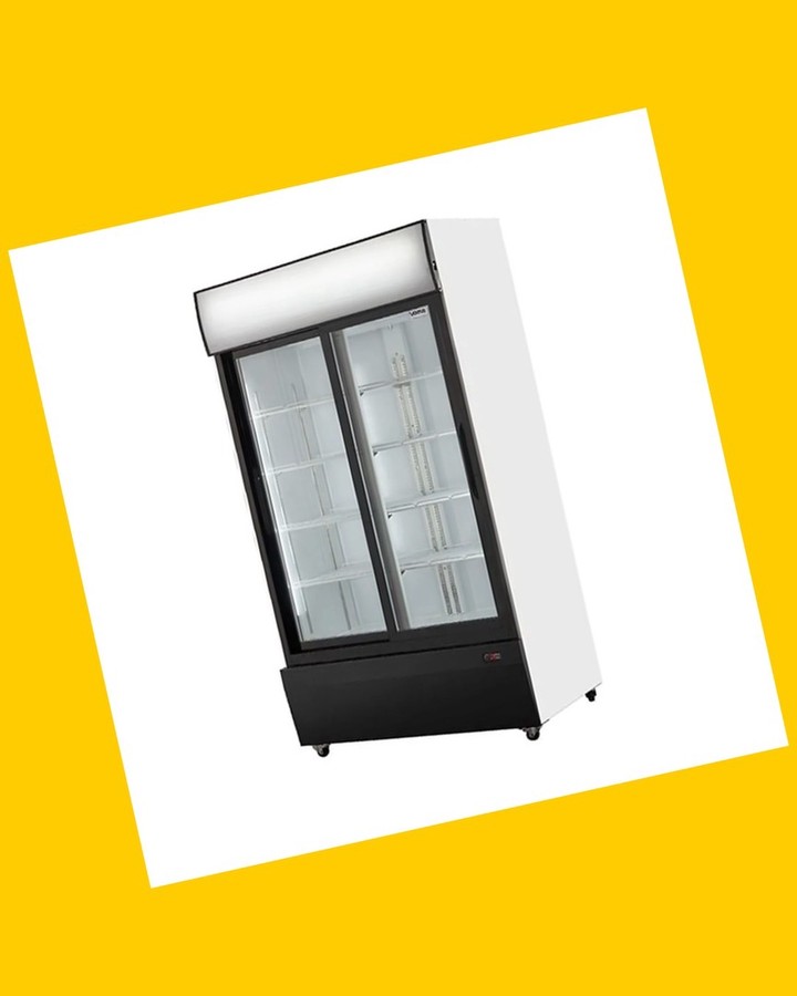 Visicooler Ventus 2 puertas
